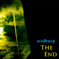 Acidburp - The End