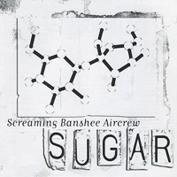 Screaming Banshee Aircrew - Sugar
