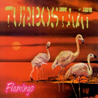 Turbostaat - Flamingo