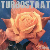 Turbostaat - Schwan