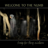 Welcome To The Numb - Songs For Sleepwalkers