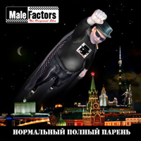 Male Factors -   