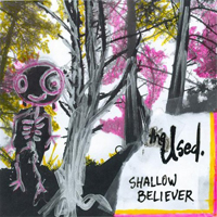 Used - Shallow Believer