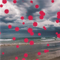 Legendary Pink Dots - Legacy - 25th Anniversary Single