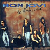 Bon Jovi - In These Arms (Japan Edition) [Single]