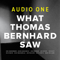 Ken Vandermark - What Thomas Bernhard Saw