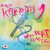 Mike Keneally - Wing Beat Elastic: Remixes, Demos & Unheard Music