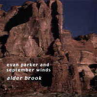 Evan Parker - Alder Brook