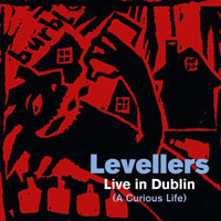 Levellers - Live in Dublin