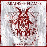 Paradise In Flames - Learn from Mistakes (Single)