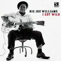 Big Joe Williams - I Got Wild