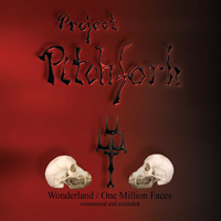 Project Pitchfork - Wonderland - One Million Faces (Remastered And Extended)