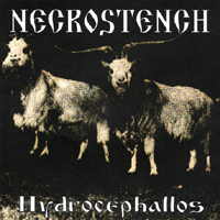 Necrostench (Russia, Tver) - Hydrocephallos