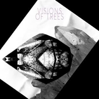 Visions Of Trees - Visions of Trees (iTunes Bonus)