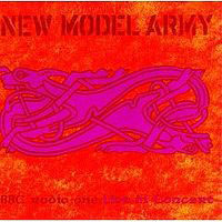 New Model Army - BBC Radio 1 Live In Concert