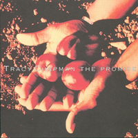 Tracy Chapman - The Promise (Single)