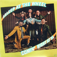 Asleep At The Wheel - Comin' Right At Ya (LP)