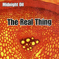 Midnight Oil - The Real Thing