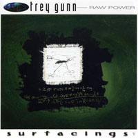 Trey Gunn - Raw Power: Surfacings 1