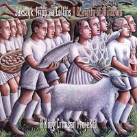 Robert Fripp - A Scarcity Of Miracles