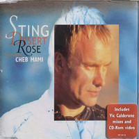 Sting - Desert Rose (Europe Single)