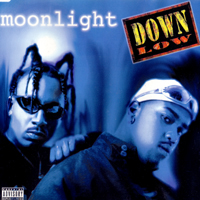 Down Low (DEU) - Moonlight (Single)