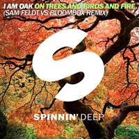 I Am Oak - On Trees And Birds And Fire (Sam Feldt Remix) [Single]