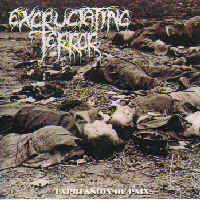 Excruciating Terror - Expression Of Pain