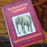 Eliza Carthy - The Moral of the Elephant