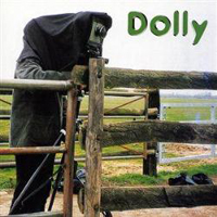 Dolly - Sunday Afternoon