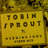 Tobin Sprout - Wedding Song (Video Mix)