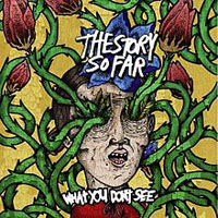 Story So Far - What You Don't See