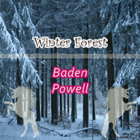 Baden Powell de Aquino - Winter Forest