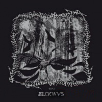 Blckwvs - 0131