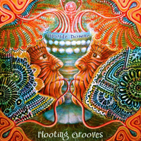 Flooting Grooves - Upsyde Downe