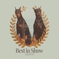 Aqueous - Best In Show