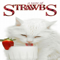 Strawbs - A Taste Of Strawbs (CD 1)