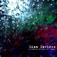 Liam Davison - A Treasure Of Well-Set Jewels