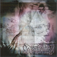 Solidification - Vendetta Driven