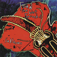 Toad The Wet Sprocket (USA) - Fall Down