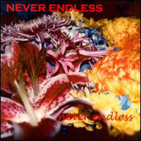 n.ever.endless - Never Endless