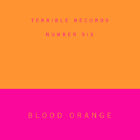 Blood Orange - Dinner / Bad Girls (Single)