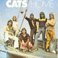 Cats - At Home