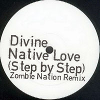 Divine (USA) - Native Love (Step By Step), Zombie Nation (Remix)