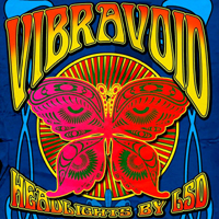 Vibravoid - Headlights By LSD (A Collection Of Demos And More 1993 - 2011)