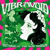 Vibravoid - Pictures At The Mind Museum