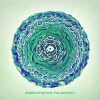 Hostile Little Face - The Architect