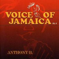 Anthony B - Voice Of Jamaica Vol. 2