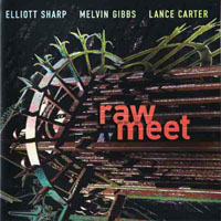 Elliott Sharp - Elliot Sharp, Melvin Gibbs, Lance Carter - Raw Meet