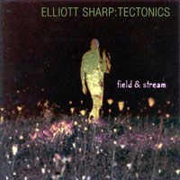 Elliott Sharp - Tectonics - Field & Stream